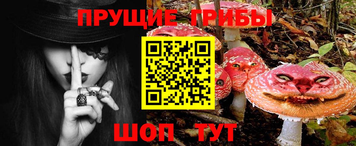 Галлюциногенные грибы Psilocybine cubensis Астрахань