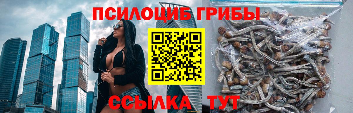 Галлюциногенные грибы GOLDEN TEACHER  купить закладку  Астрахань  Вход с VPN  Псилоцибиновые грибы мухоморы 